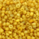 Minirocaille opak gelb