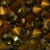 Strass-Steine crystal Dorado
